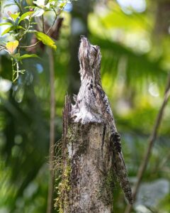 Parque Nacional Guaricana, no Paraná. A imagem foi uma das vencedoras do concurso de fotos de paisagem