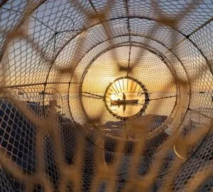 Um pescador em um barco foi retratado através de uma armadilha de pesca. A foto foi uma das vencedoras do concurso de fotografa de natureza da Wikipédia
