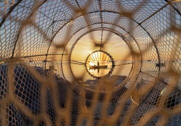Um pescador em um barco foi retratado através de uma armadilha de pesca. A foto foi uma das vencedoras do concurso de fotografa de natureza da Wikipédia