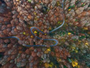 Floresta e estradas no Parque Nacional de Yedigöller, na Turquia. A imagem foi uma das vencedoras do concurso Wiki Loves Earth