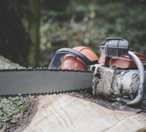 Motosserra sobre tronco de árvore, exemplo de crime ambiental praticado na Amazônia quando o corte é feito em áreas protegidas