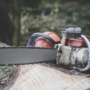 Motosserra sobre tronco de árvore, exemplo de crime ambiental praticado na Amazônia quando o corte é feito em áreas protegidas