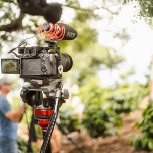 Cämera em reportagem de jornalismo ambiental em floresta de Honduras