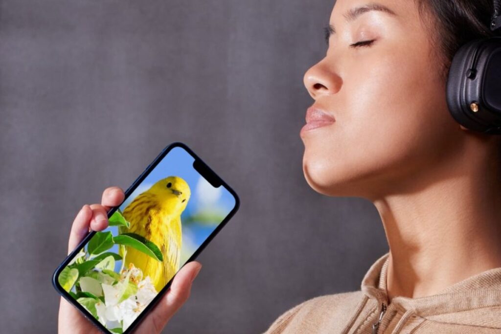 Mulher com smartphone assistindo vídeo com pássaro