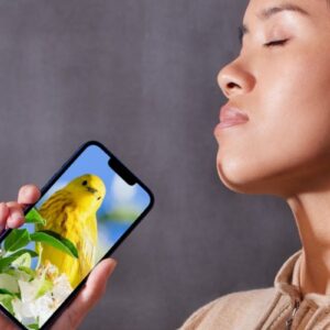 Mulher com smartphone assistindo vídeo com pássaro