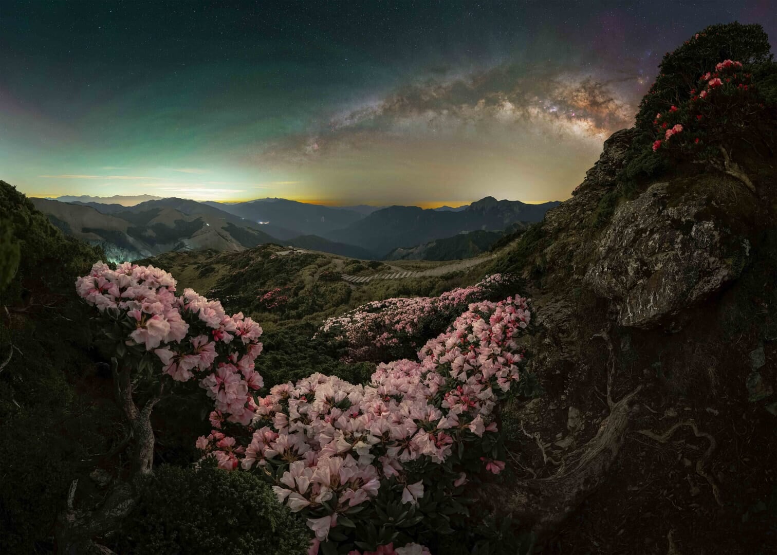 Flores de rododendro em Hehuan Mountain, Taiwan, com a Via Láctea iluminando a noite.