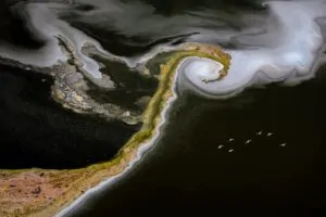 Pelicanos sobrevoando um lago