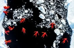 Nadadores na água gelada do Mar Báltico. A imagem foi uma das premiadas no concurso de fotos aéreas