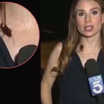 Repórter nos EUA em transmissão ao vivo com barata passeando em seu corpo