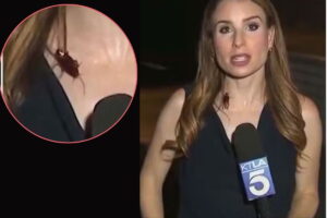 Repórter nos EUA em transmissão ao vivo com barata passeando em seu corpo