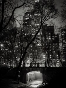 Arcos do Central Park, Nova York com edifícios iluminados ao fundo. A imagem foi a vencedora do Fotógrafo do Ano com iPhone