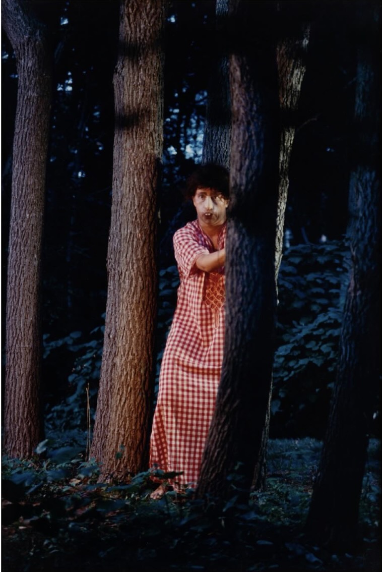 Obra de arte Disasters and Fairy Tales, de Cindy Sherman