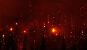 Incêndio em uma floresta na Alemanha. A foto foi premiada no concurso de fotografia de natureza
