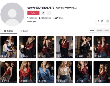 Conta automatizada no TikTok com conteúdo explícito 