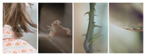 Quatro fotos com detalhes de coisas do cotidiano. A imagem foi pré-selecionada entre as finalistas do concurso de fotografia da Sony