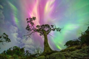 A foto A árvore dos desejos recebeu menção honrosa dos jurados do concurso de fotografia do céu
