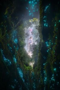 Um abismo iluminado por larvas bioluminescentes na Nova Zelândia foi uma das imagens premiadas no concurso de fotos do céu noturno