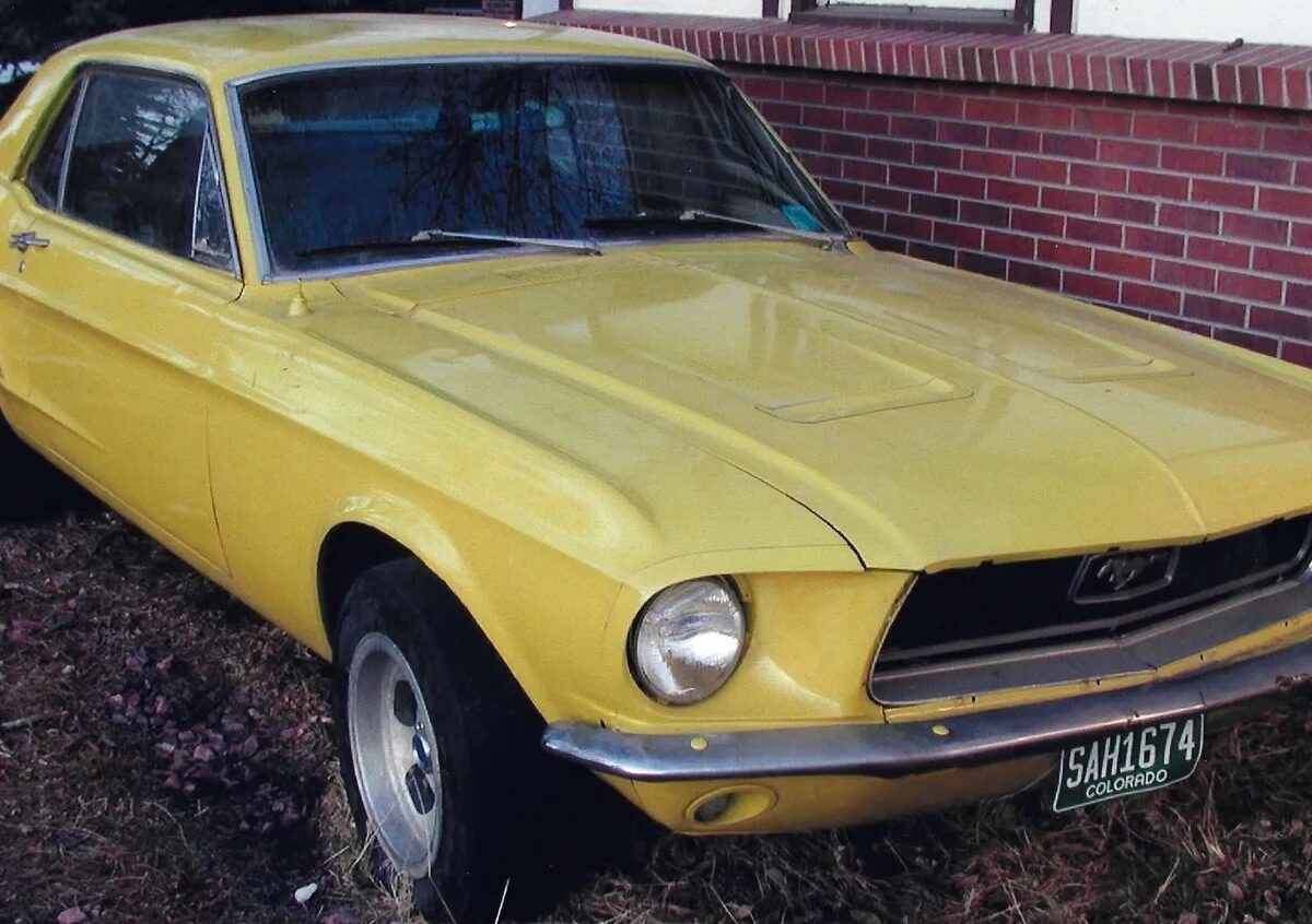 Mustang que inspirou campanha Setembro Amarelo contra o suicídio